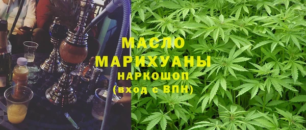 МДПВ Бородино