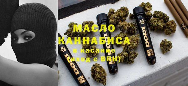 метадон Богданович
