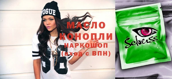 МДПВ Бородино