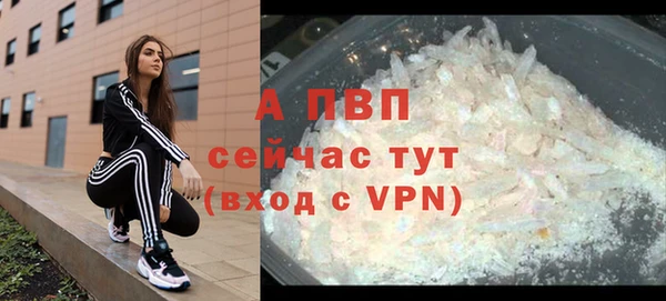 стаф Сосновый Бор