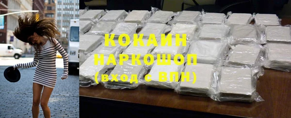 spice Богородск