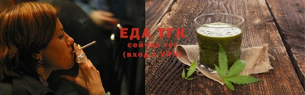 МДПВ Бородино