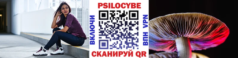 Псилоцибиновые грибы мицелий  даркнет сайт  ссылка на мегу как войти  Мирный 